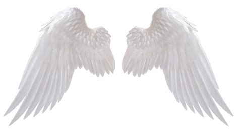 Angel Wings Png - Angel Wings PNG Download Image 1 | Angel wings png ...