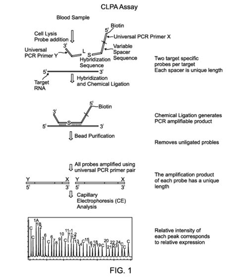 PTAB.US: genetic techs