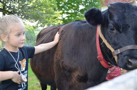 Summer Farm Program — red gate farm