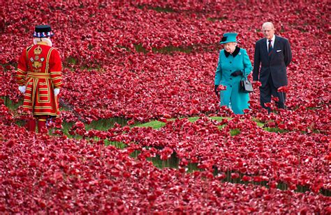 In pictures: tower of london poppy display #remembranceday - scoopnest.com