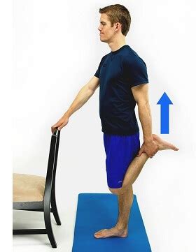 Vastus Medialis Exercises: Strengthen & Stabilize VMO