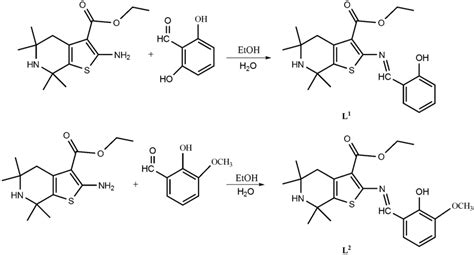 The synthesis scheme of Schiff base ligands (L¹ and L²) | Download Scientific Diagram