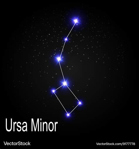 Ursa minor constellation with beautiful bright Vector Image