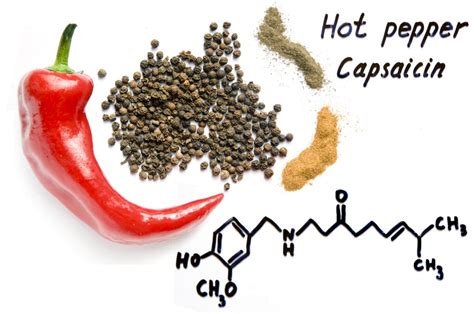 Capsaicin Cream Burn: Side Effects & Solutions - Capsadyn™