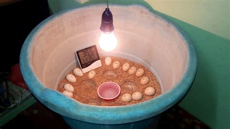 DIY-Homemade Incubator || How To Make Egg Incubator Simple And Easy (Hatching Chicken Eggs ...