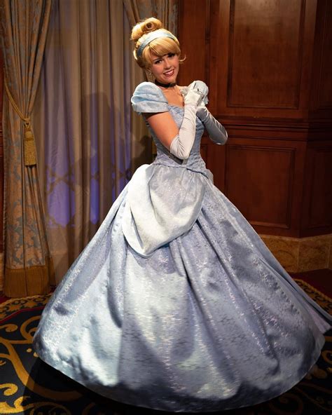 Pin by Dalton on Cinderella | Disney princess cosplay, Cinderella blue dress, Working dresses