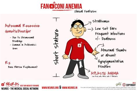 Photos | Neuros- Social Networking For Medical Students | Renal physiology, Nursing study tips ...