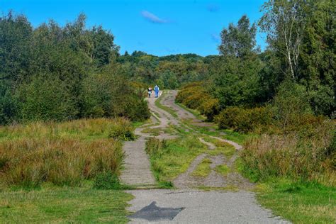 Sutton Coldfield : Sutton Park © Lewis Clarke cc-by-sa/2.0 :: Geograph Britain and Ireland