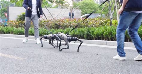 These Two Robot Dogs Can Keep Fighting Like Real Dogs