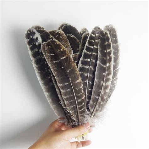 Hot! 100pcs Turkey feathers 30 35cm / 12 14inches Decoration-in Feather from Home & Garden on ...