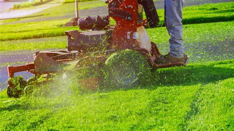 Kawasaki Vs. Kohler Lawn Mower Engines: How Do They Stack Up?