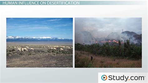 Desertification | Causes, Effects & Examples - Video & Lesson Transcript | Study.com