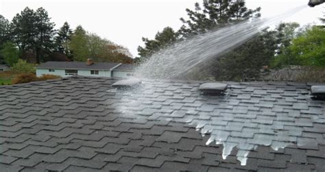 Roof Treatment – Portland Gutter Cleaning LLC | 503-844-6800