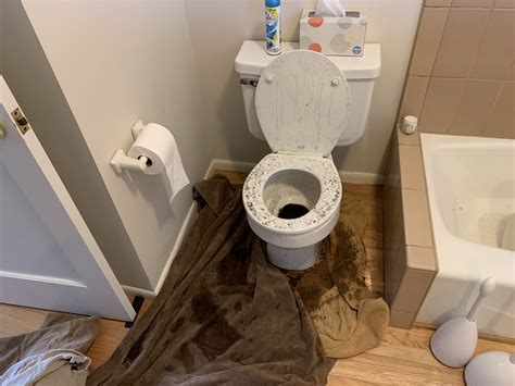 How Do I Handle a Toilet Overflow? - Flood Brothers Plumbing