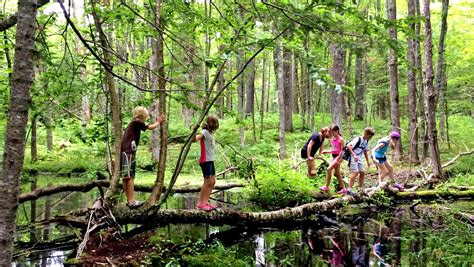 Nature Exploration at ACNW summer camp | Summer pictures, Summer camp ...