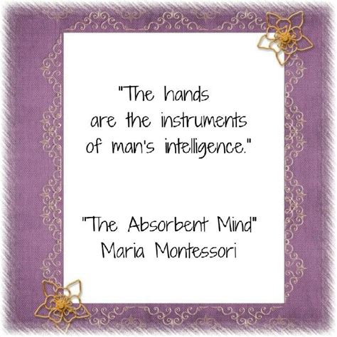 The Absorbent Mind | Teaching quotes, Montessori quotes, Mindfulness