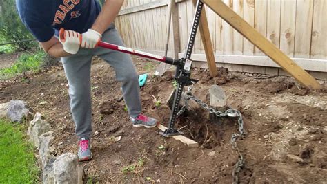 Diy Stump Removal Chemical / How to Remove a Tree Stump Painlessly in ...