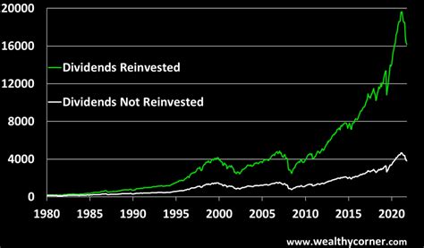 The Power of Reinvested S&P500 Dividends - Wealthy Corner (2023)