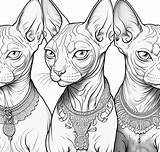 6 Coloring Pages Of Sphynx Cat Mandela Style Printable  sketch template
