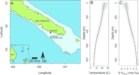 Map of the collection location of Nautilus macromphalus (AMNH 105621)... | Download Scientific ...