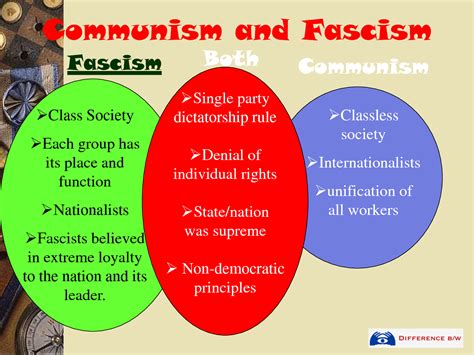 Fascism Vs Communism Vs Socialism Chart