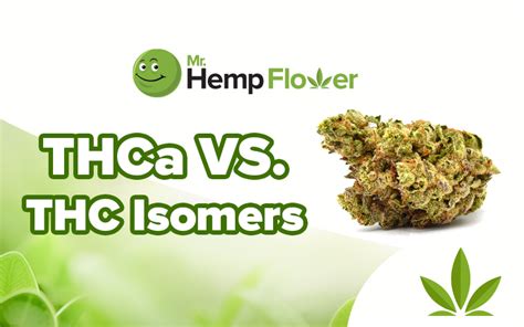 THCA vs. THC Isomers [THCP, THC-O, Delta-8, HHC]