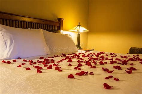 Romantic Setting with Rose Petals on Bed Stock Photo - Image of getaway, romantic: 69676836