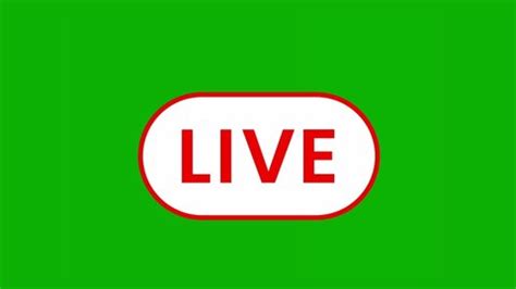 Live Streaming Broadcasting Icons Green Screen Stock Footage Video (100 ...