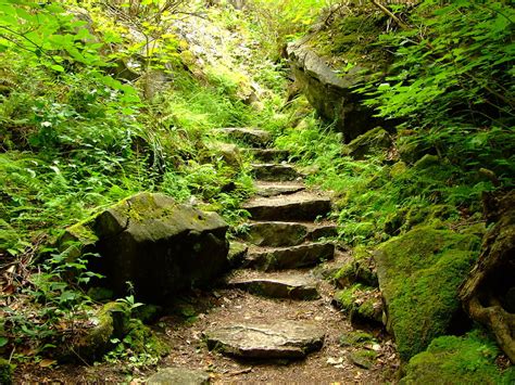 Staircase in woods Photograph by Dennis Faucher - Fine Art America