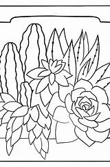 Stone Rose And Blooming cactus  Flowers Coloring Pages For Adults sketch template