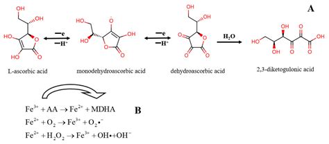 Structure Of Dehydroascorbic Acid