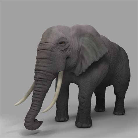 ArtStation - Elephant