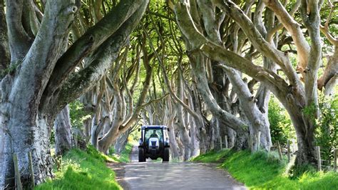 Travel Trip Journey : “The Dark Hedges” A Magical Tree Lined Road in Ireland