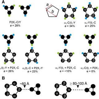 Diagrams summarizing FRET data. A, Summary of the FRET efficiency ...