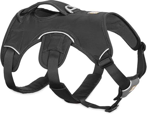 10 Best Dachshund Harnesses Reviews 2020