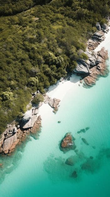 Premium Photo | A beach with turquoise water and trees in the background