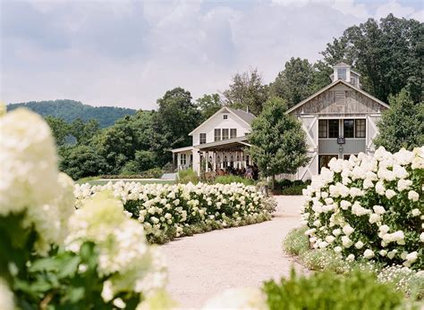 Culinary Vineyard in Virginia's Wine Country | Pippin Hill Farm