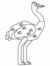 Ostrich coloring page  ColouringPages sketch template