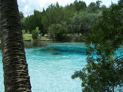 Silver Glen Springs (Marion County, FL) | Flickr - Photo Sharing!