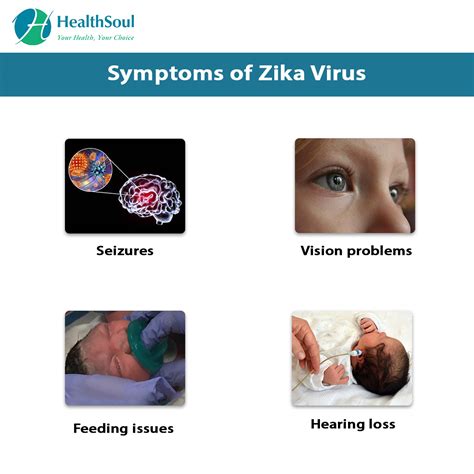 Zika Virus: Symptoms and Treatment | Infectious Disease | HealthSoul