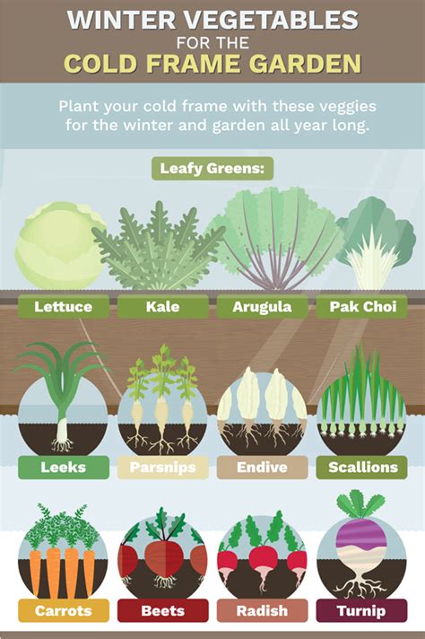 Cold Weather Vegetable Growing #vegetable_gardening | Winter vegetables gardening, Fall garden ...