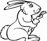 Free Printable Rabbit Coloring Pages For Kids sketch template