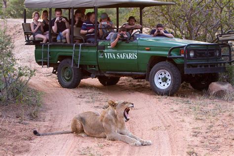 Kruger Park Safari Packages & Tours