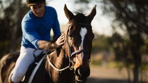 What Causes a Horse to Founder and Can They Recover From It?