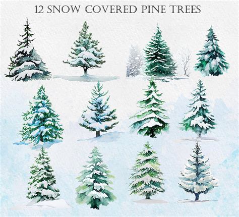 Winter Snow Pine Trees Woods Watercolor graphic Botanical - Etsy