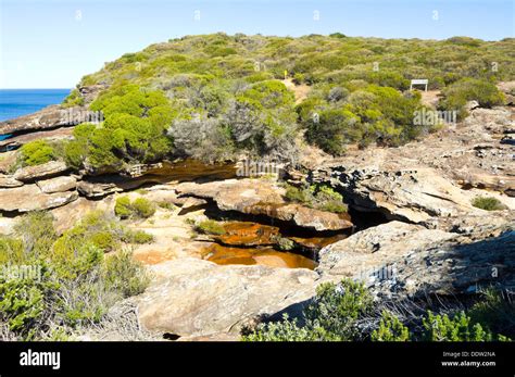 Creek and Coast Path Royal National Park New South Wales Australia ...