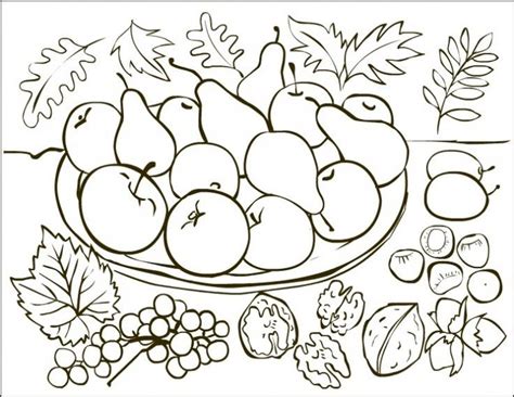 Fructe de toamna | Desene de colorat | Free coloring pages, Coloring ...