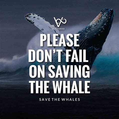 Please don’t fail on saving the whale | Save Whales Slogans | World ...