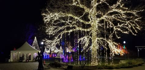 Wellfield Botanic Gardens and Their Winter Wonderland Holiday Lights!