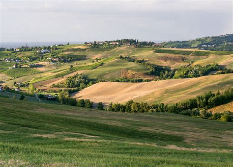 The Beginner's Guide to Lombardy Agriculture and Agri-foods